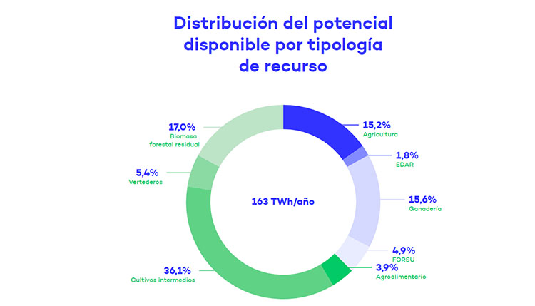 Potencial de producción.