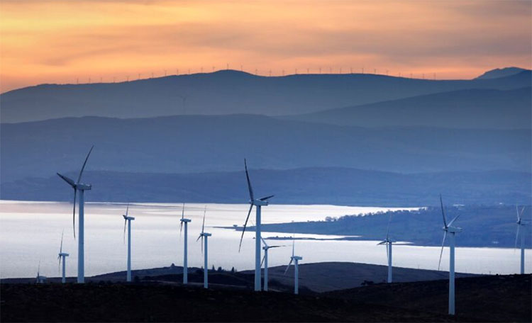 Parque eólico de Iberdrola. Foto: Iberdrola.